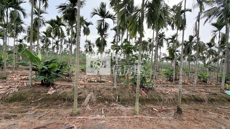 內埔田野好風光農地房屋室內格局與周邊環境