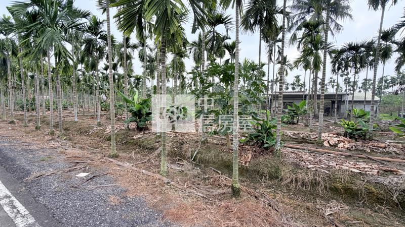 內埔田野好風光農地房屋室內格局與周邊環境