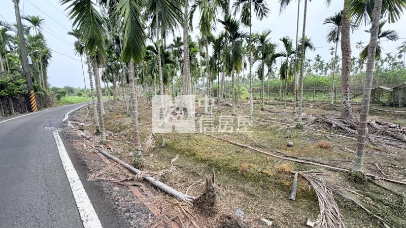 內埔田野好風光農地房屋室內格局與周邊環境