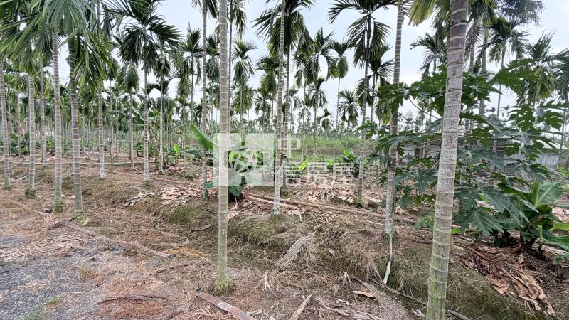 內埔田野好風光農地房屋室內格局與周邊環境