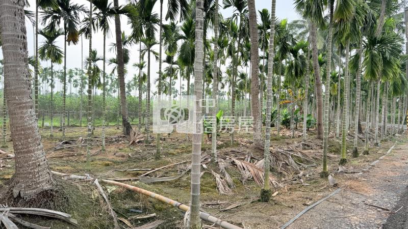 內埔田野好風光農地房屋室內格局與周邊環境