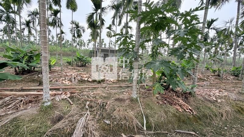 內埔田野好風光農地房屋室內格局與周邊環境