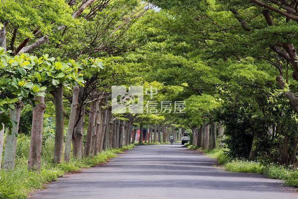 403頭城近國五綠色隧道大建物房屋室內格局與周邊環境
