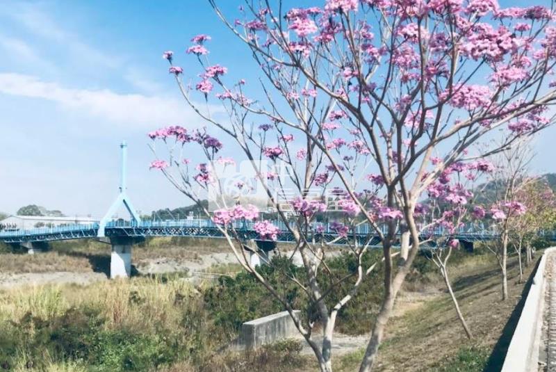 @決心出售.898萬@太平一江橋@店住合一@店面.公司行號.投資自用皆宜房屋室內格局與周邊環境