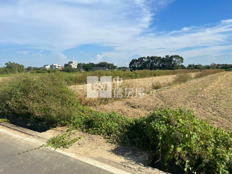 【新世紀】新屋埔頂國小美農地房屋室內格局與周邊環境