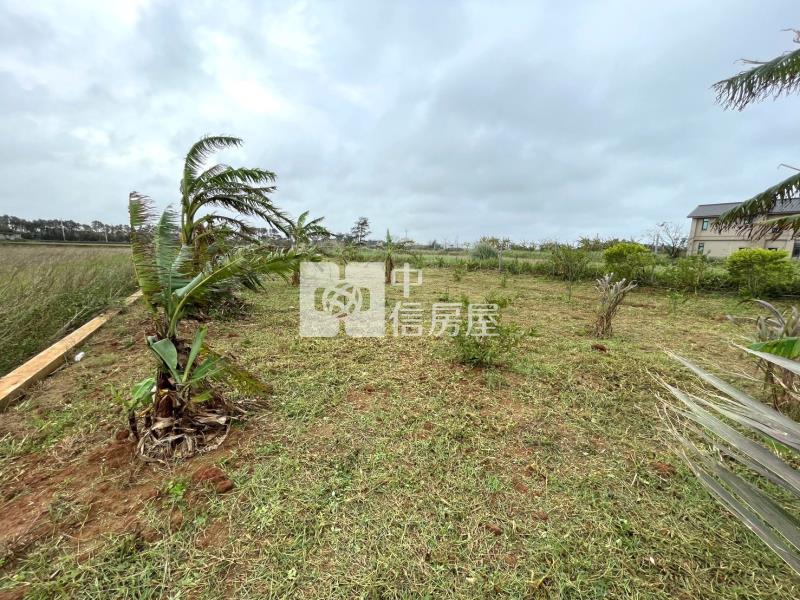 【新世紀】新屋永安美農+資材室房屋室內格局與周邊環境