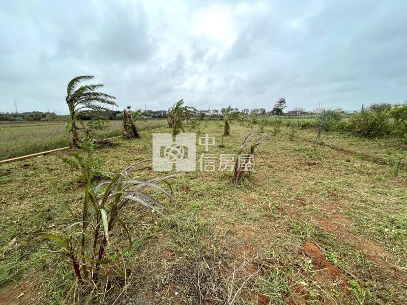 【新世紀】新屋永安美農+資材室房屋室內格局與周邊環境