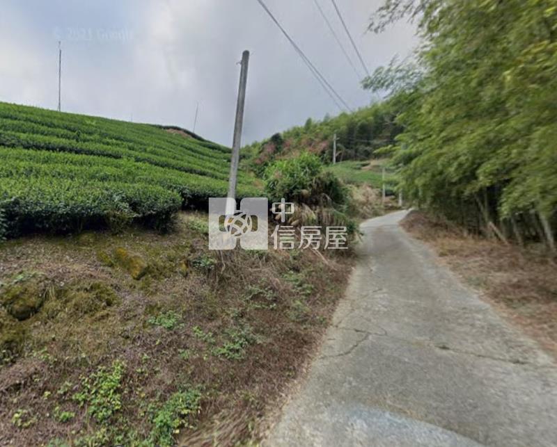 南投竹山2.6甲便宜茶田農地房屋室內格局與周邊環境