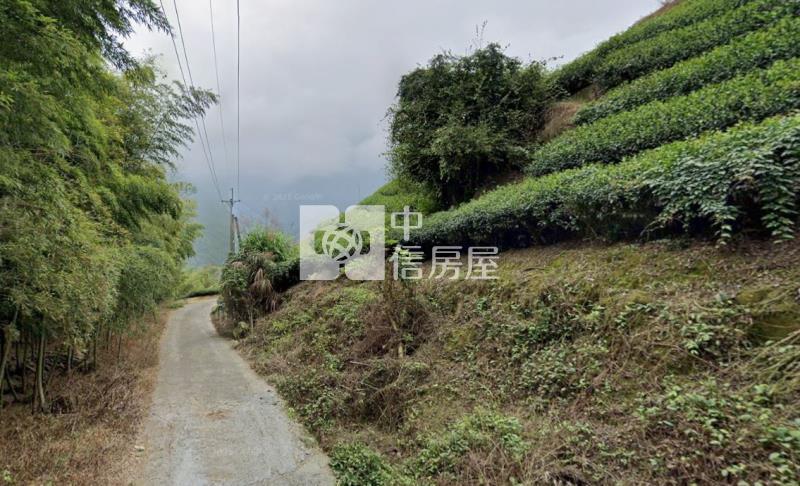 南投竹山2.6甲便宜茶田農地房屋室內格局與周邊環境