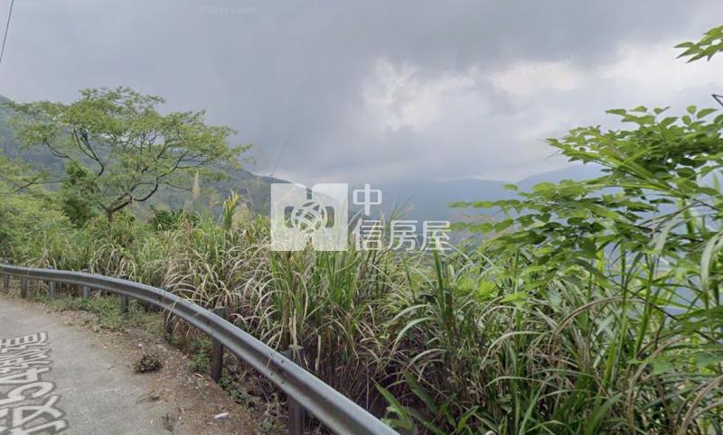 南投竹山2.6甲便宜茶田農地房屋室內格局與周邊環境