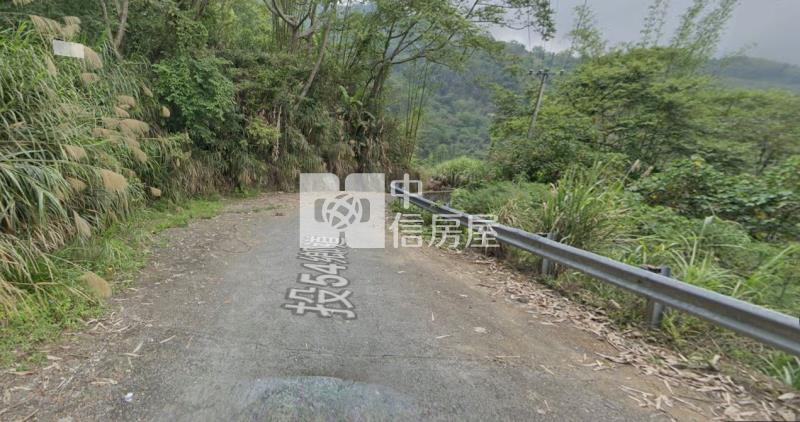 南投竹山2.6甲便宜茶田農地房屋室內格局與周邊環境