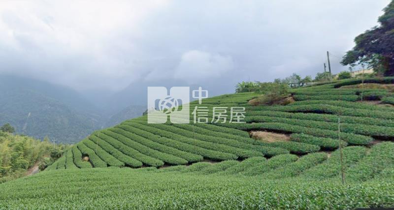 南投竹山2.6甲便宜茶田農地房屋室內格局與周邊環境