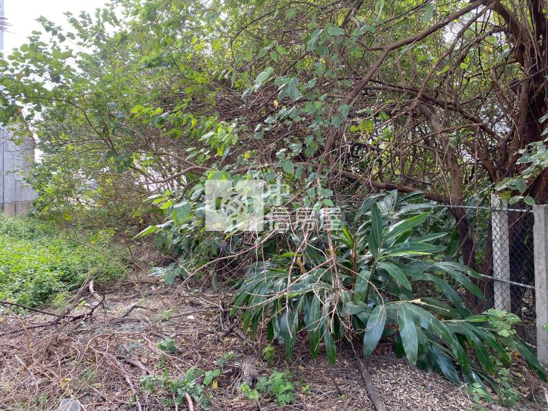 崙背大路邊建地房屋室內格局與周邊環境