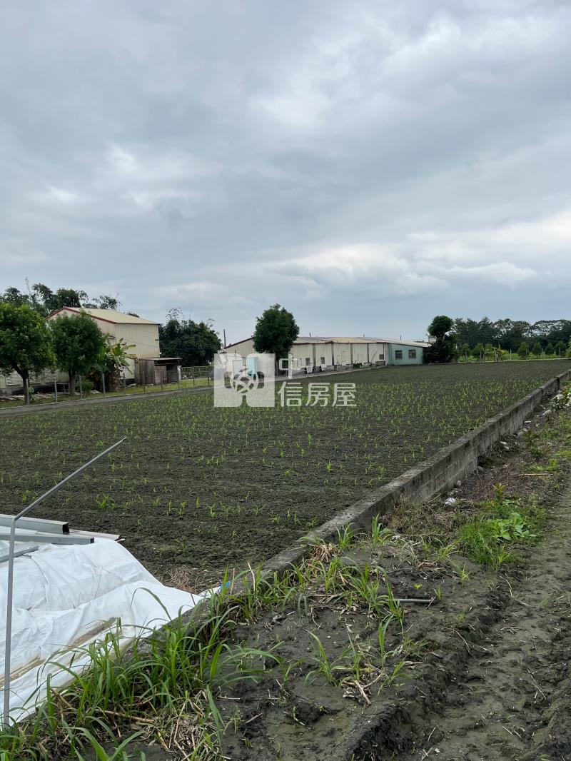 N314專任-花蓮縣吉安福南農地房屋室內格局與周邊環境