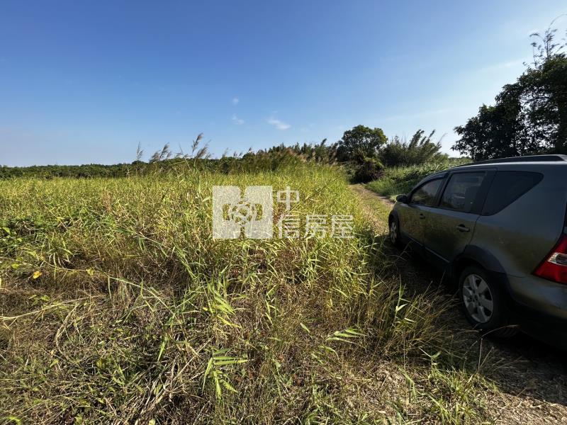 仁德依仁國小方正農地房屋室內格局與周邊環境