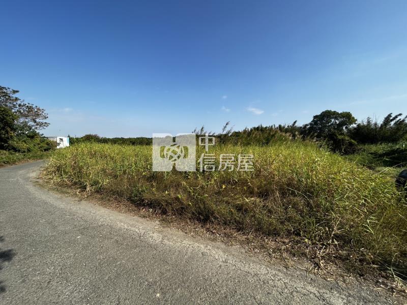 仁德依仁國小方正農地房屋室內格局與周邊環境