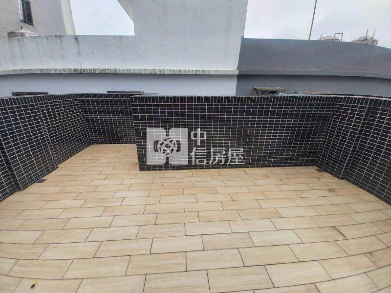 體育園區全新電梯透天房屋室內格局與周邊環境