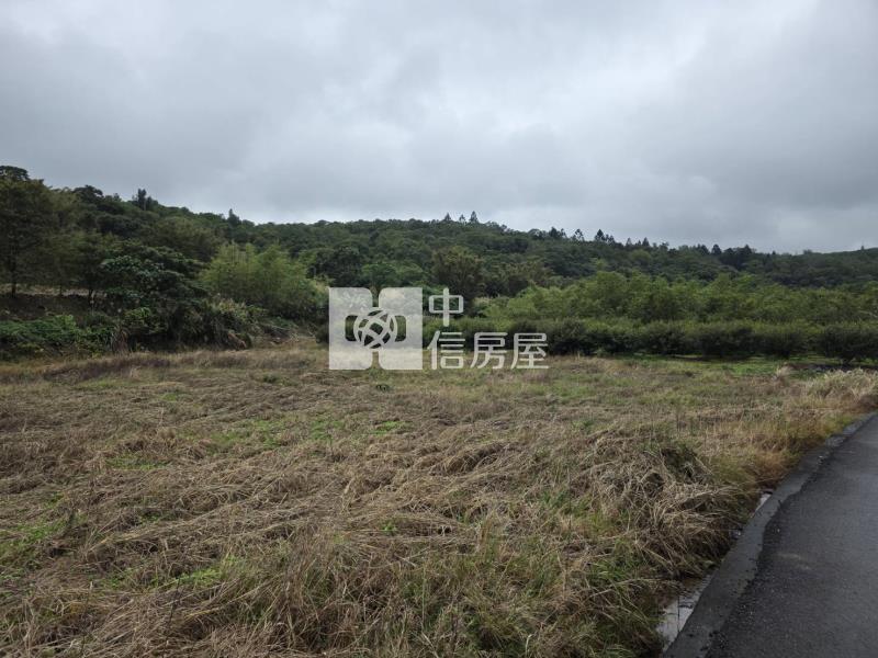 【奔馳】蘆竹區福德段持分農地房屋室內格局與周邊環境