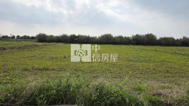 觀音區羅福路農地房屋室內格局與周邊環境