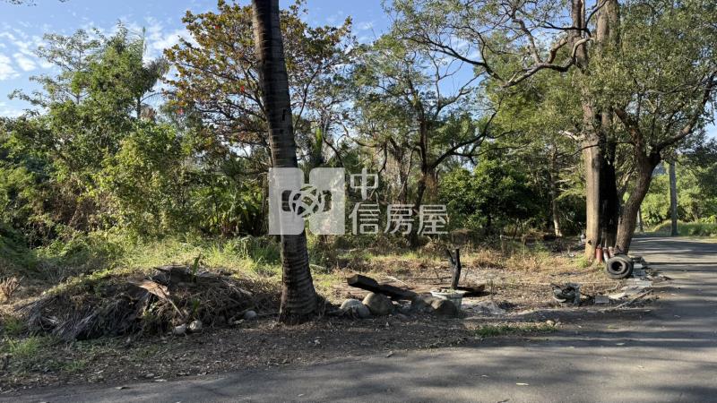 歸仁高鐵橋下持分美農地房屋室內格局與周邊環境