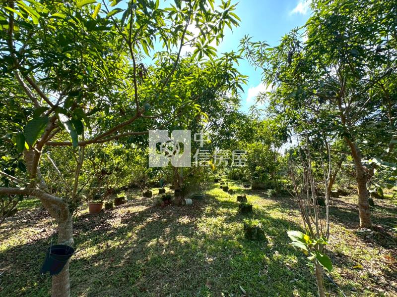 (專)北寮果境合法資材室｜870坪角地農莊房屋室內格局與周邊環境