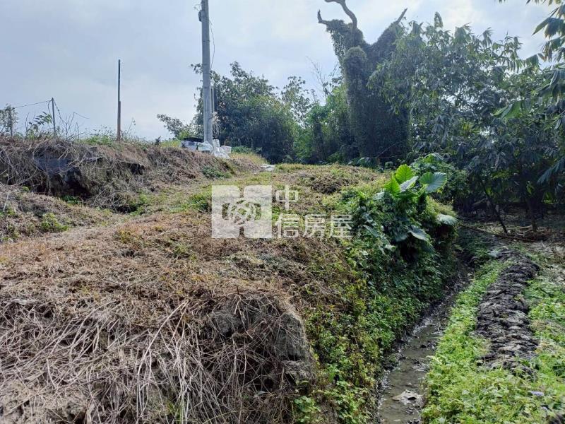 古坑高林農地房屋室內格局與周邊環境