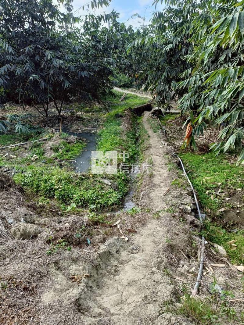 古坑高林農地房屋室內格局與周邊環境