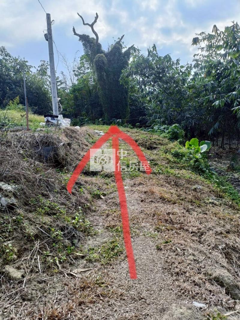 古坑高林農地房屋室內格局與周邊環境