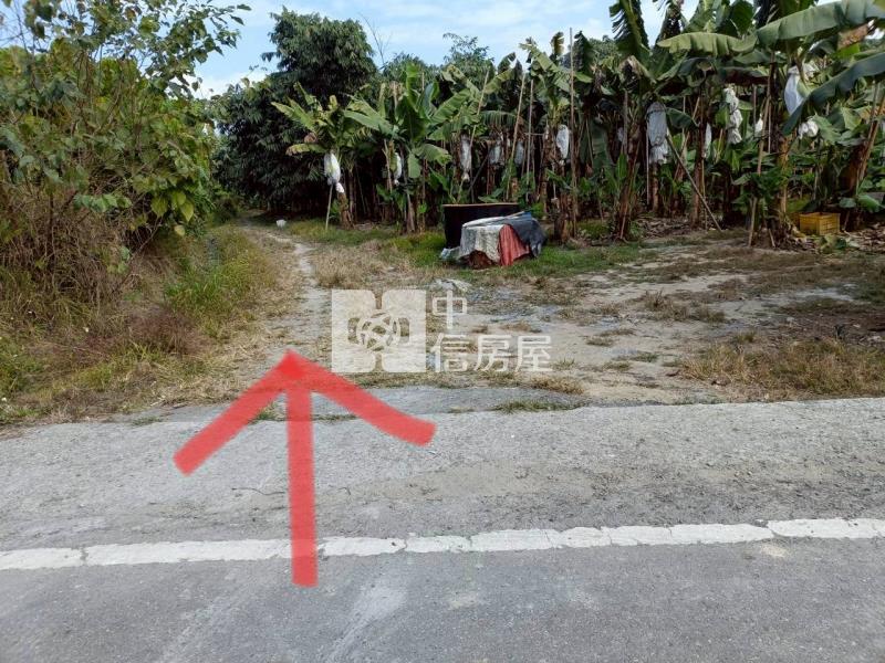 古坑高林農地房屋室內格局與周邊環境