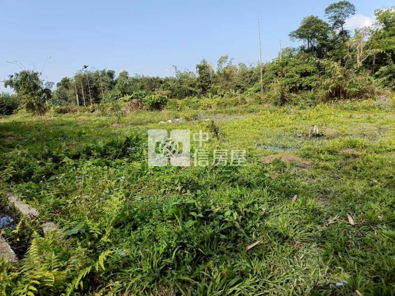 古坑高林農地房屋室內格局與周邊環境