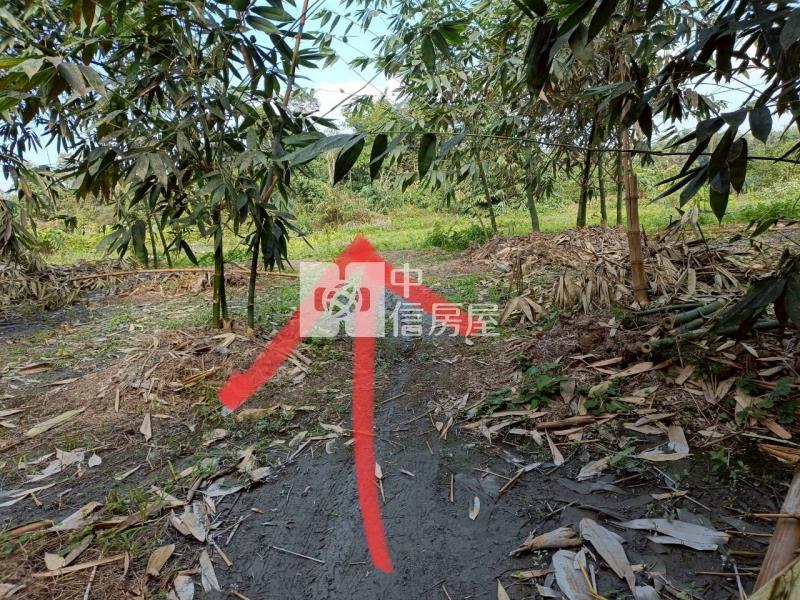 古坑高林農地房屋室內格局與周邊環境