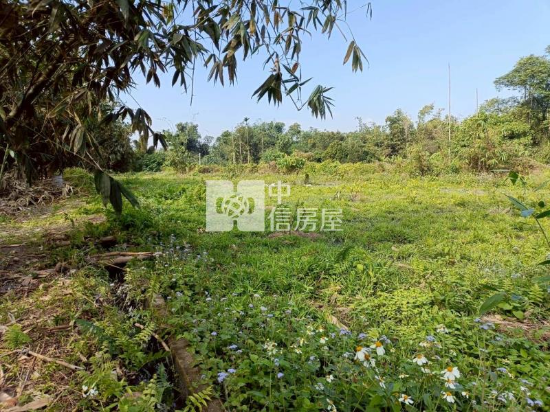 古坑高林農地房屋室內格局與周邊環境