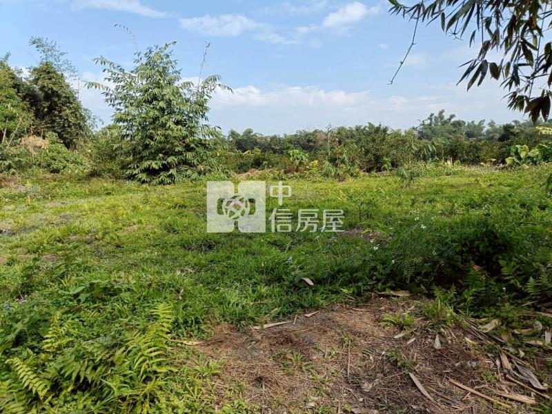 古坑高林農地房屋室內格局與周邊環境