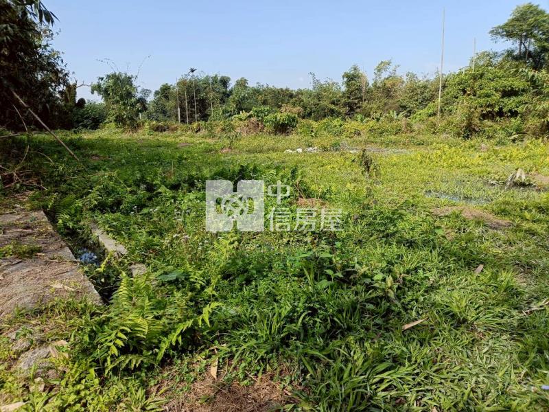 古坑高林農地房屋室內格局與周邊環境