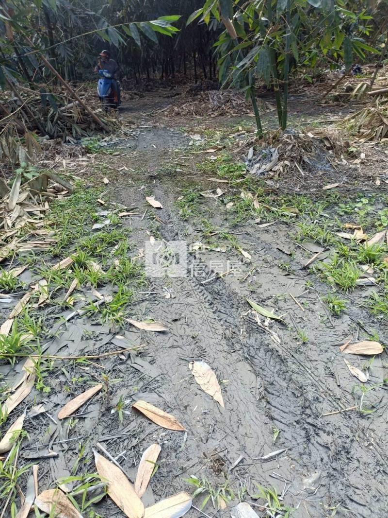 古坑高林農地房屋室內格局與周邊環境