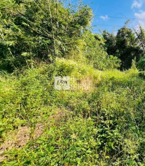 關廟深坑子3.7分農牧用地房屋室內格局與周邊環境