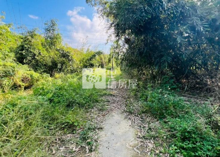 關廟深坑子3.7分農牧用地房屋室內格局與周邊環境