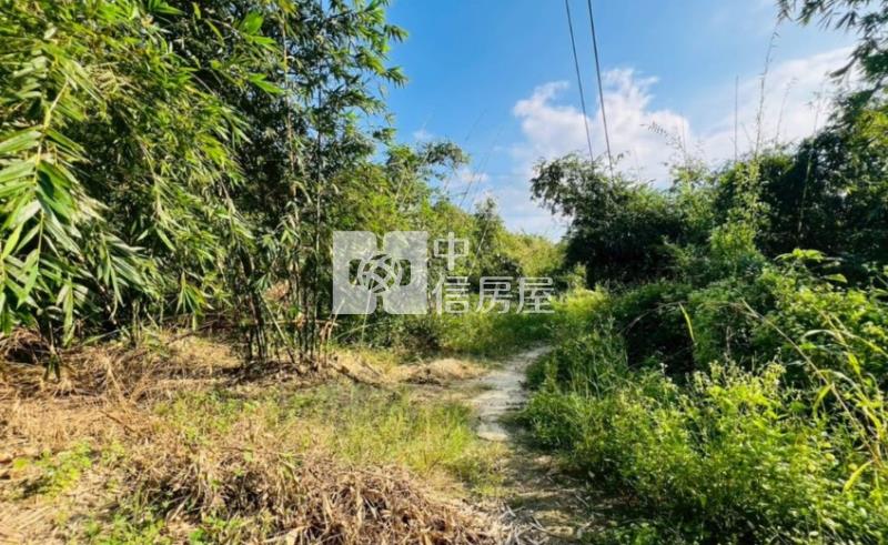 關廟深坑子3.7分農牧用地房屋室內格局與周邊環境