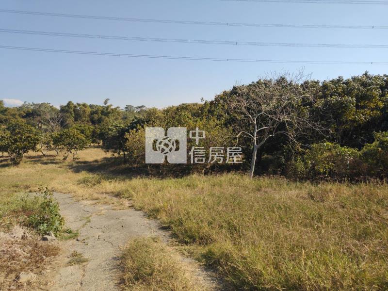 關廟深坑子3.7分農牧用地房屋室內格局與周邊環境