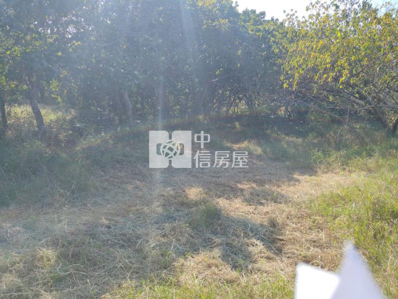 關廟深坑子3.7分農牧用地房屋室內格局與周邊環境