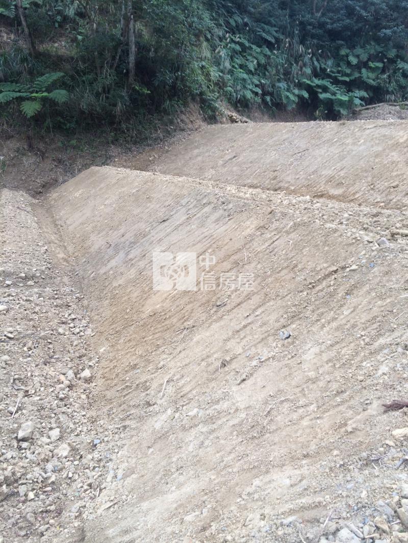 近龍潭第二交流道大坪數方正農地房屋室內格局與周邊環境