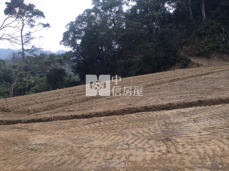 近龍潭第二交流道大坪數方正農地房屋室內格局與周邊環境