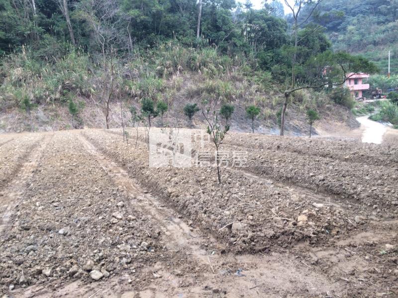 近龍潭第二交流道大坪數方正農地房屋室內格局與周邊環境