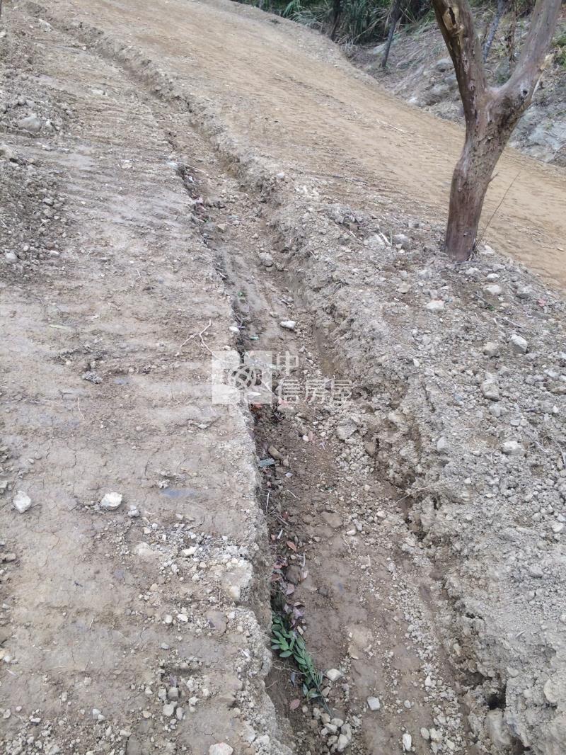 近龍潭第二交流道大坪數方正農地房屋室內格局與周邊環境