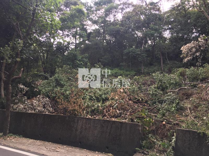 大溪鴻禧旁農地房屋室內格局與周邊環境