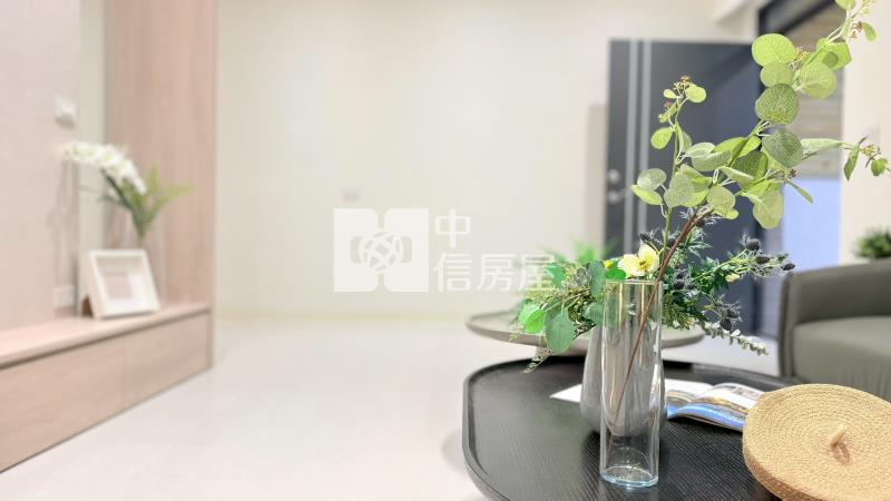 文化路尾別墅  ★影音空拍只在中信嘉義玉山店房屋室內格局與周邊環境