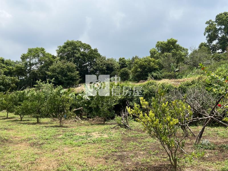 f-36苗栗休閒農場+丙建房屋室內格局與周邊環境