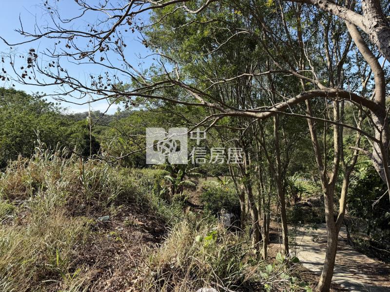 寶山臨路農地房屋室內格局與周邊環境