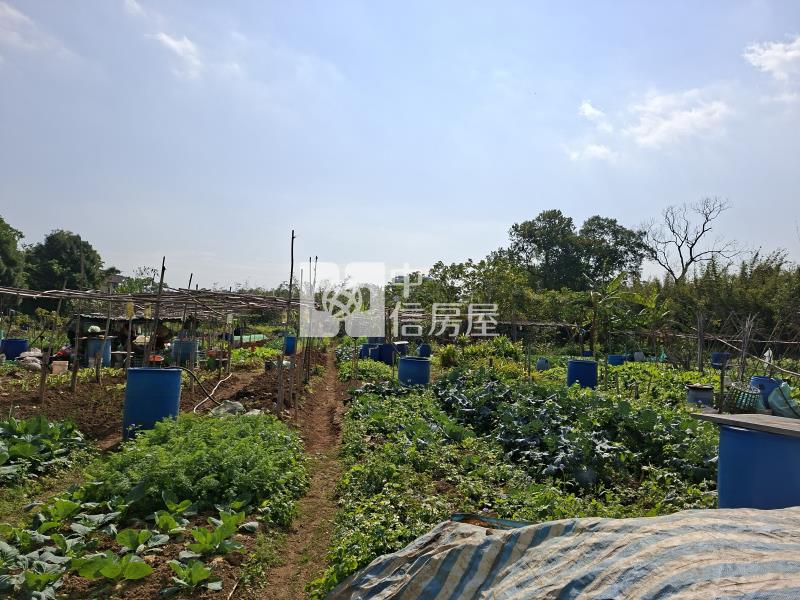 近中壢體育園區都計內美田房屋室內格局與周邊環境