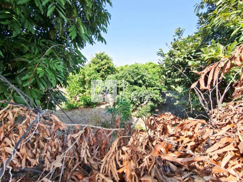 屏東枋寮陸橋旁有水電4.2分休閒果園房屋室內格局與周邊環境